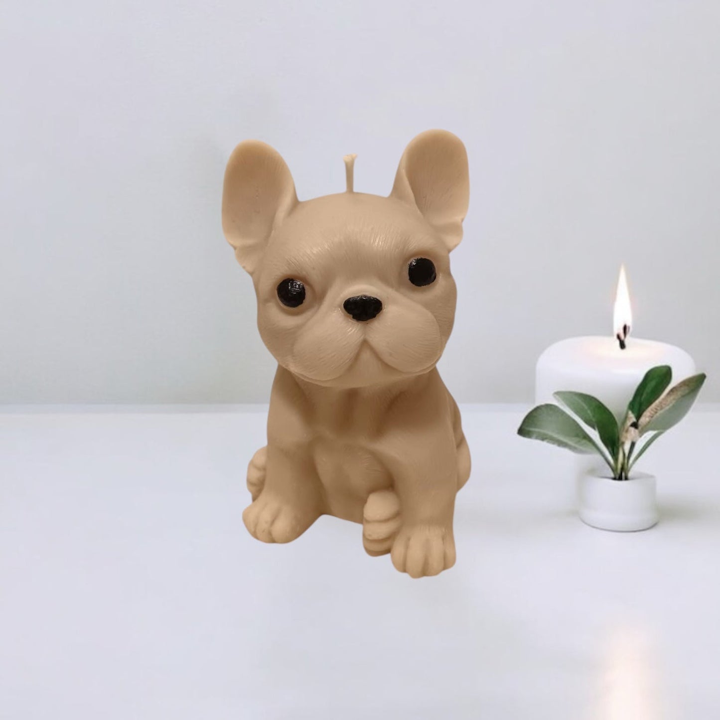 Bulldog Francese