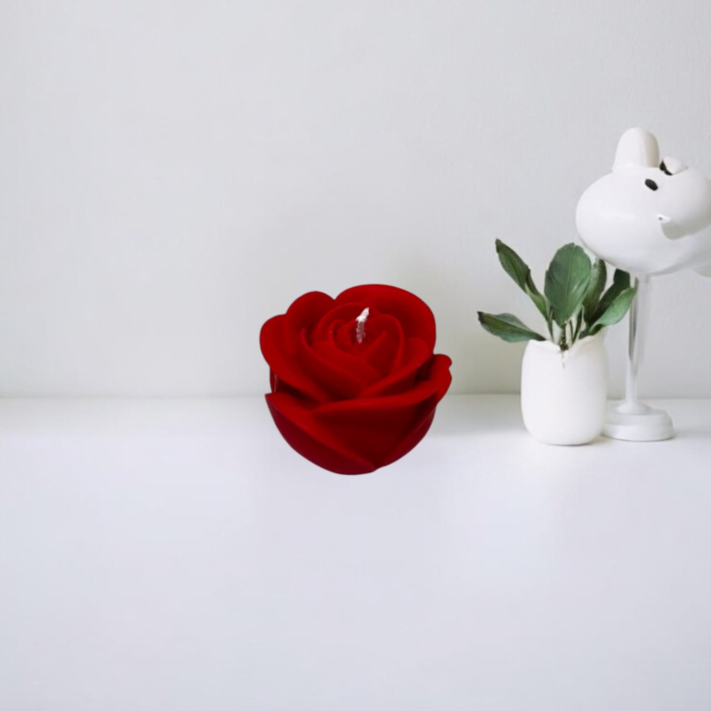 Rosa media