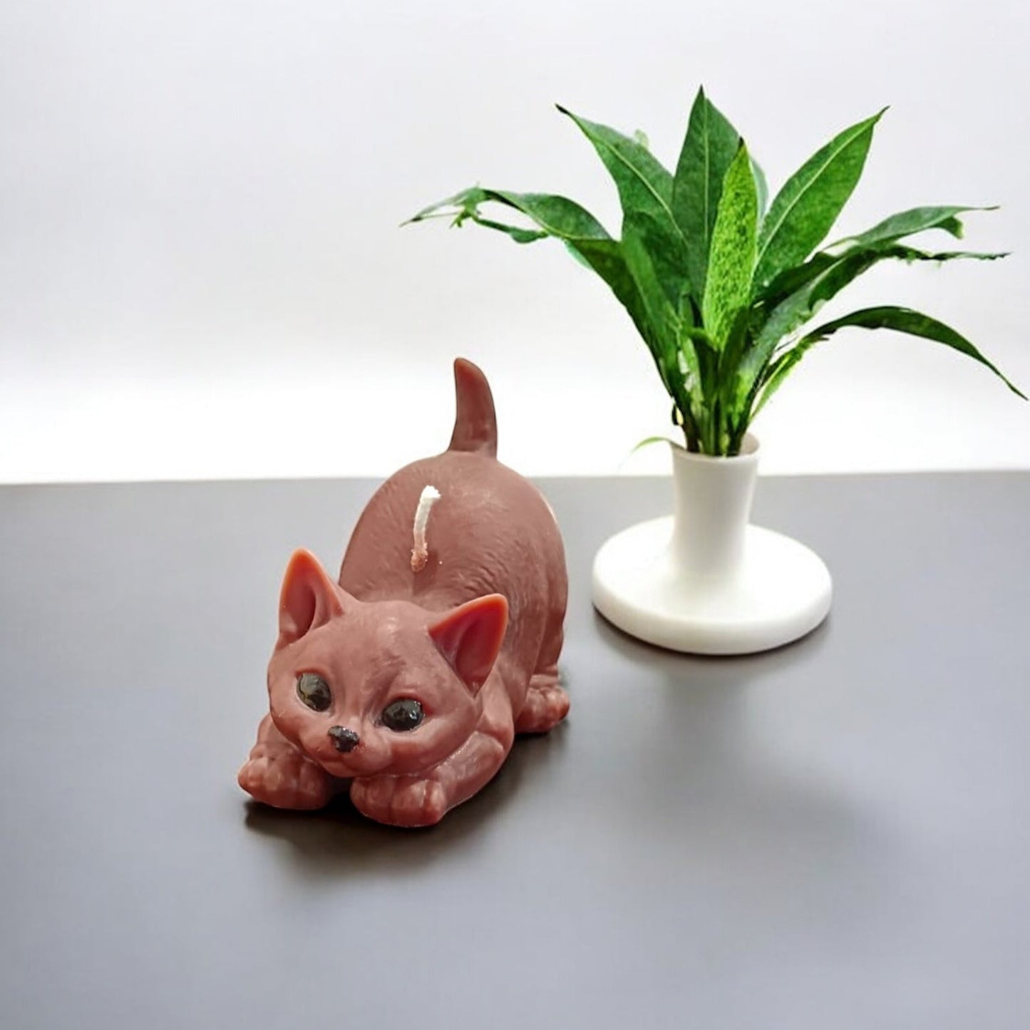 Gatto