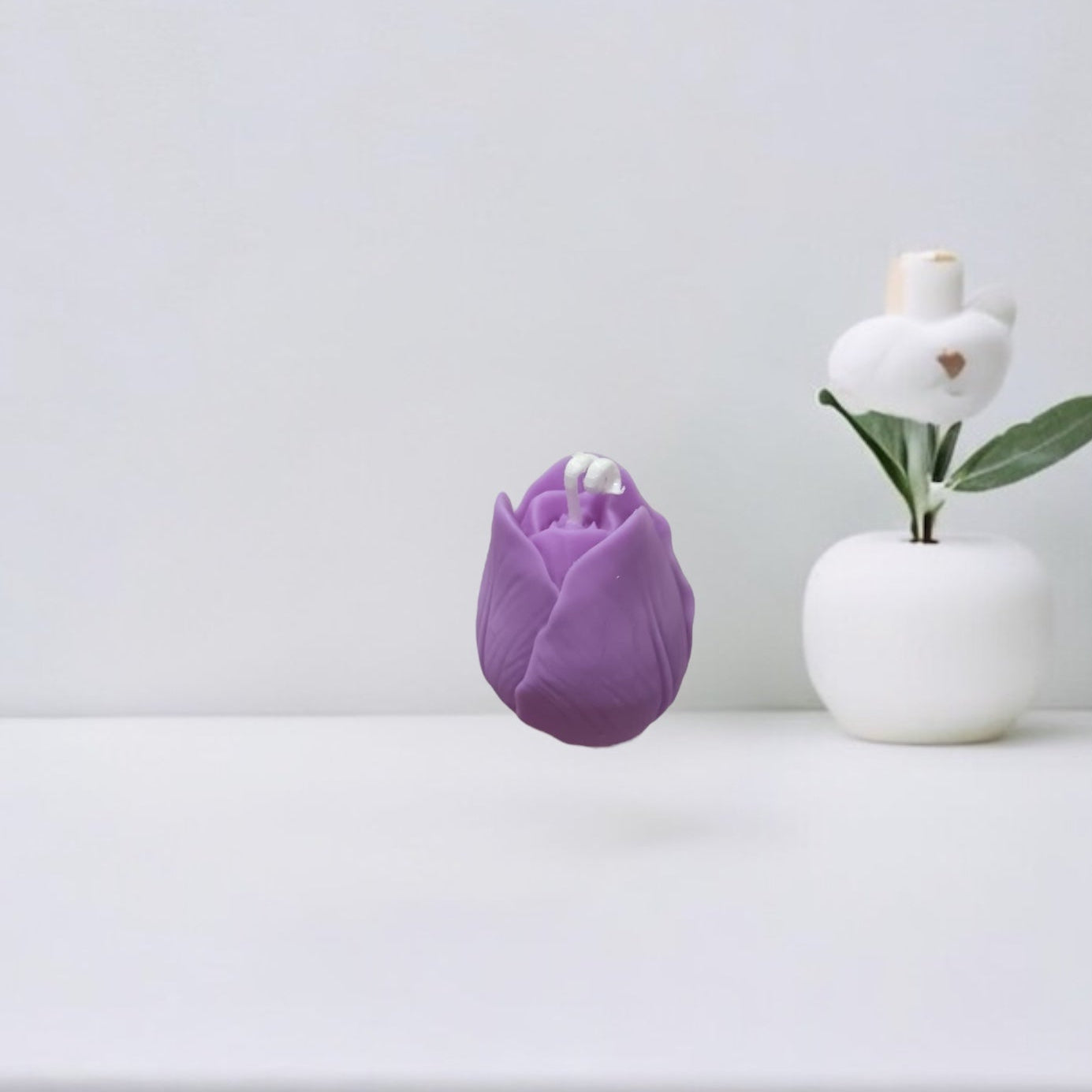 Tulipano