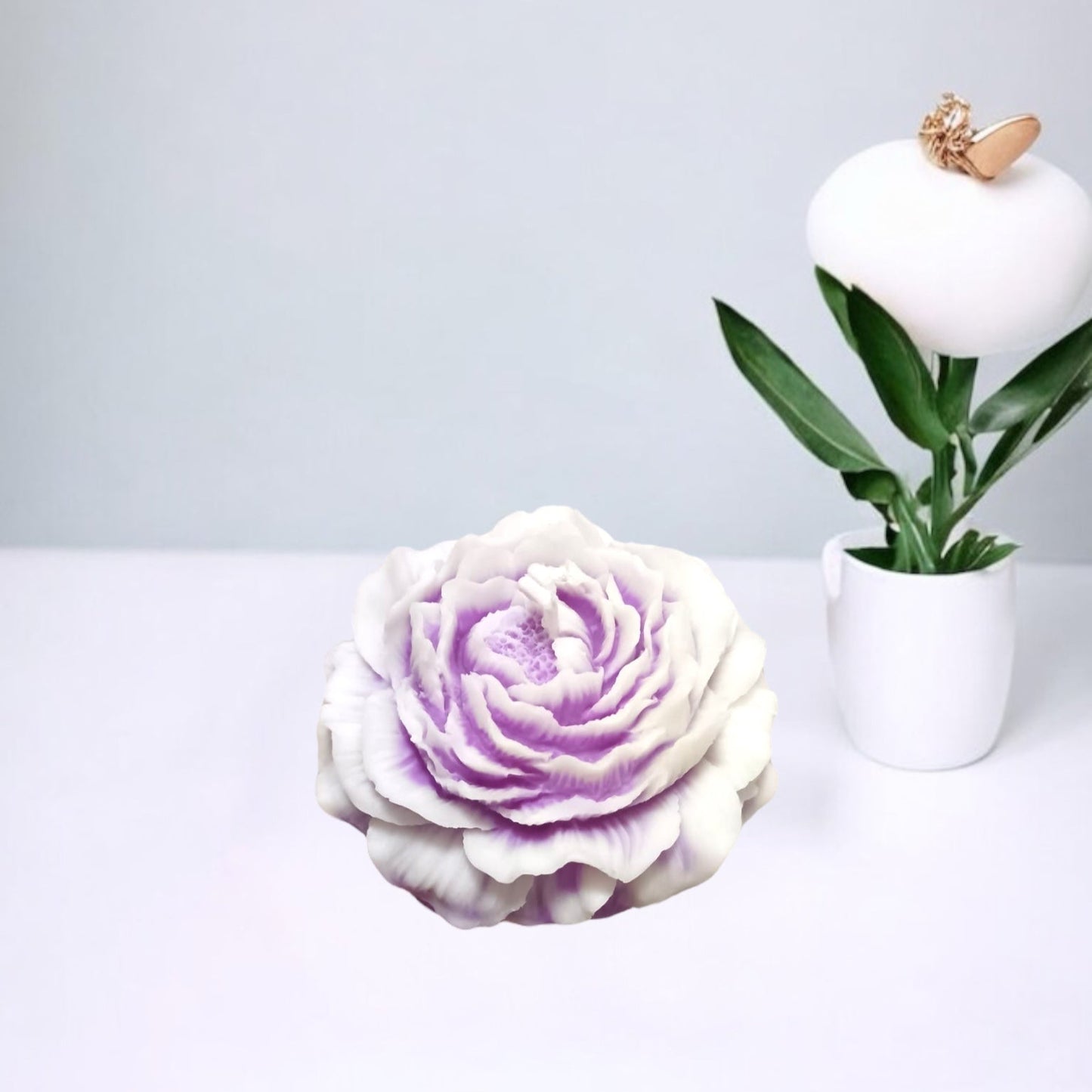 Peonia