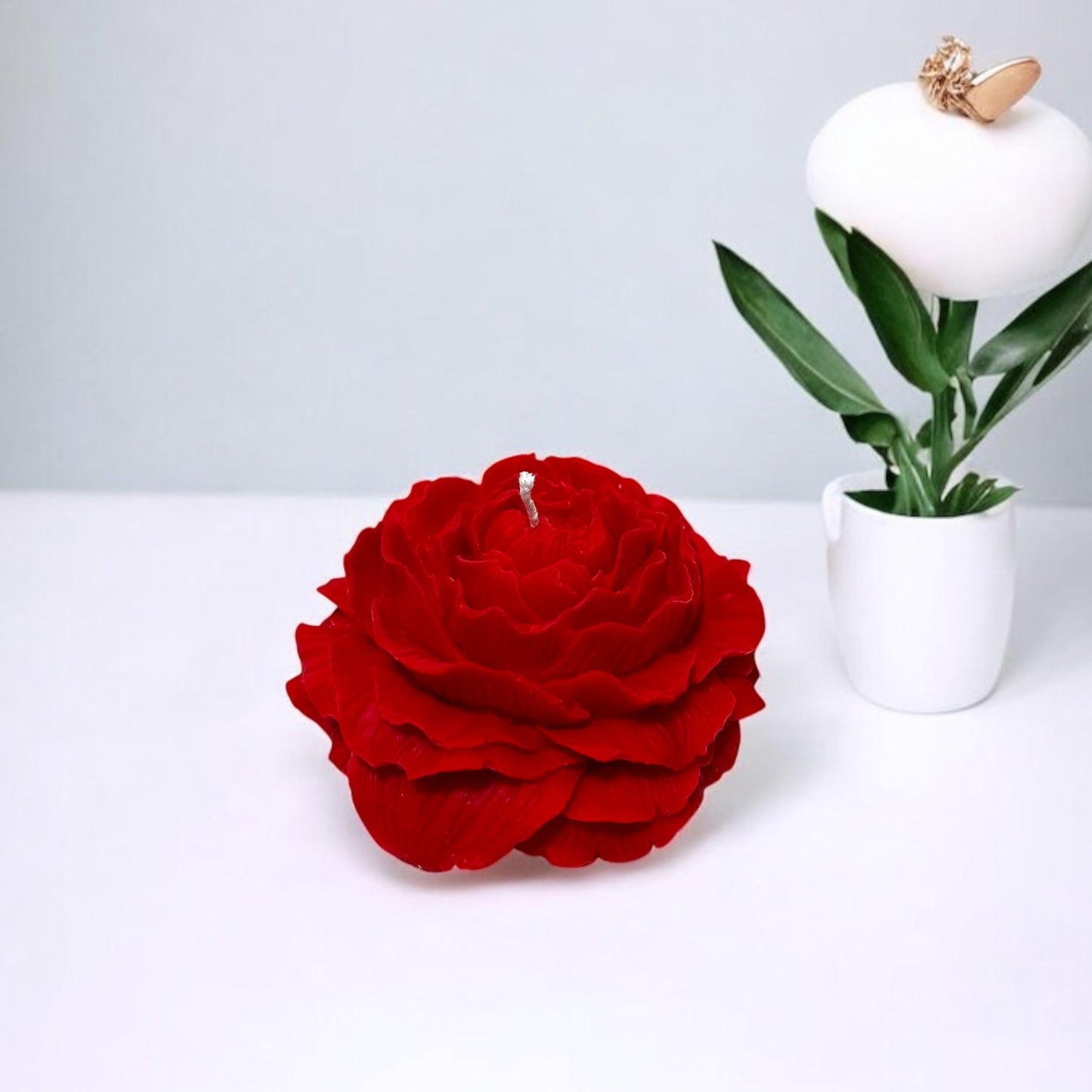 Peonia