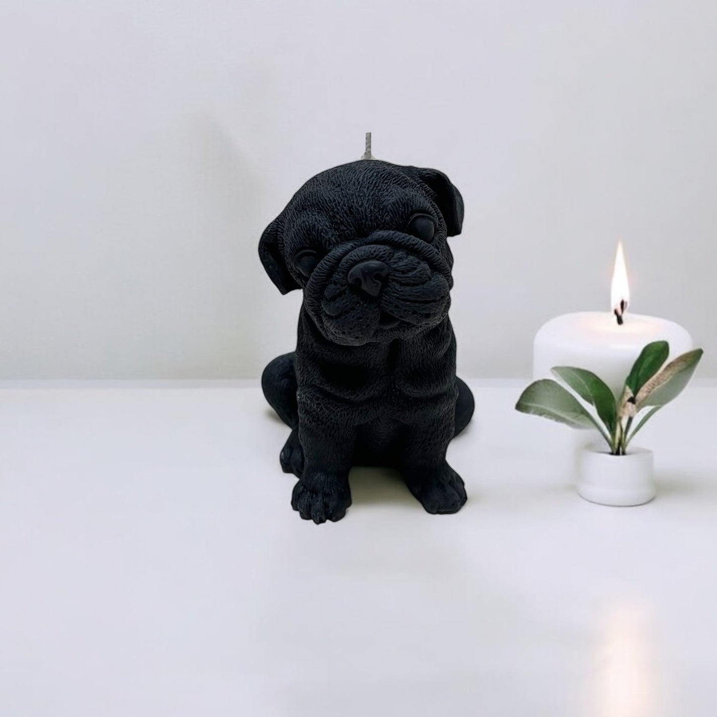 Bulldog