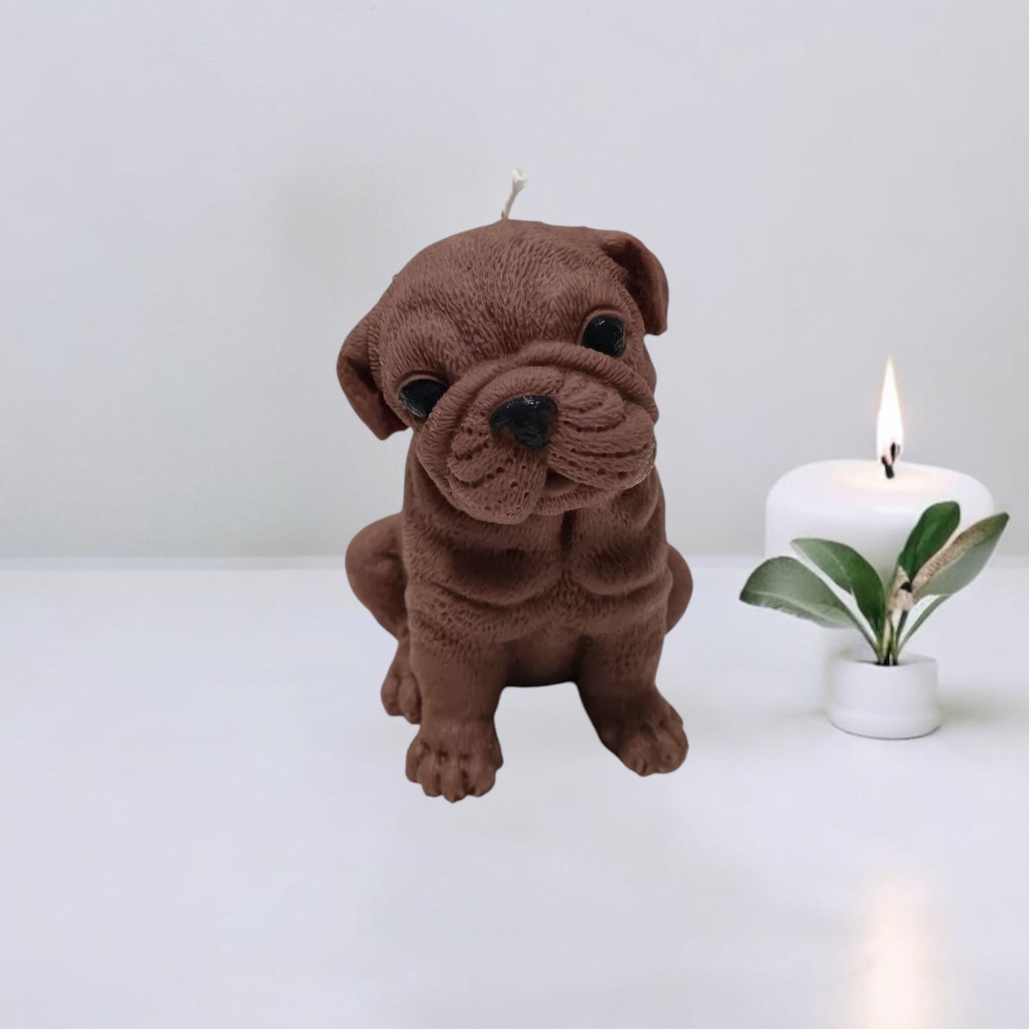 Bulldog