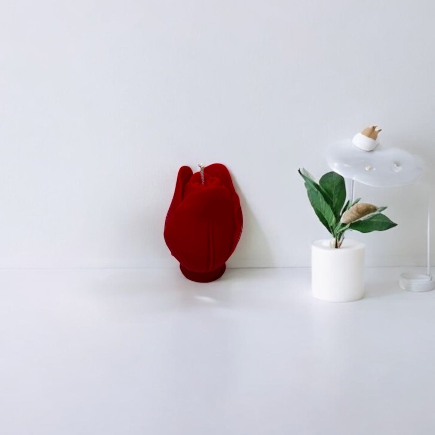 Tulipano