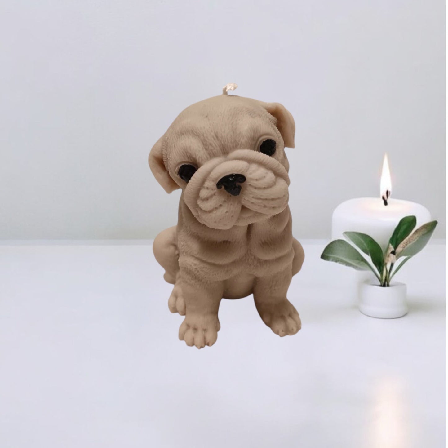 Bulldog