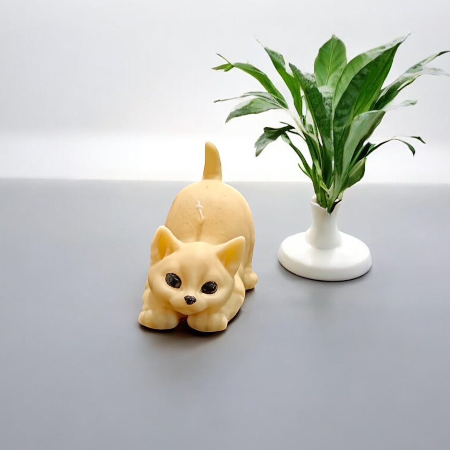 Gatto