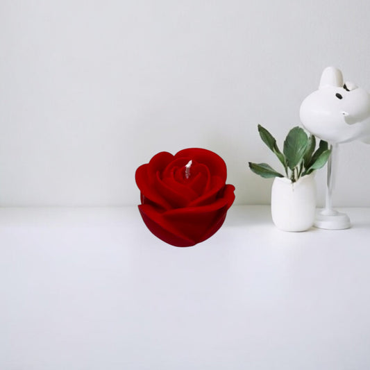 Rosa media