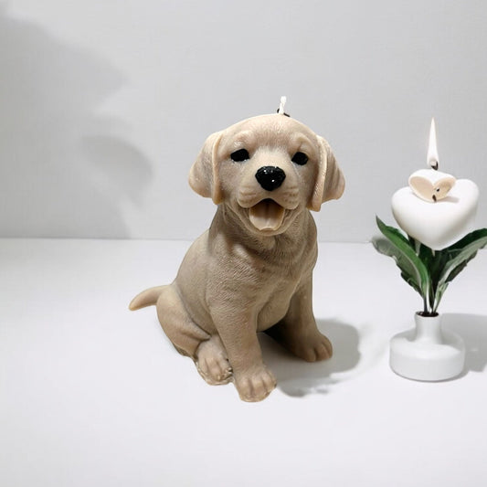 Labrador