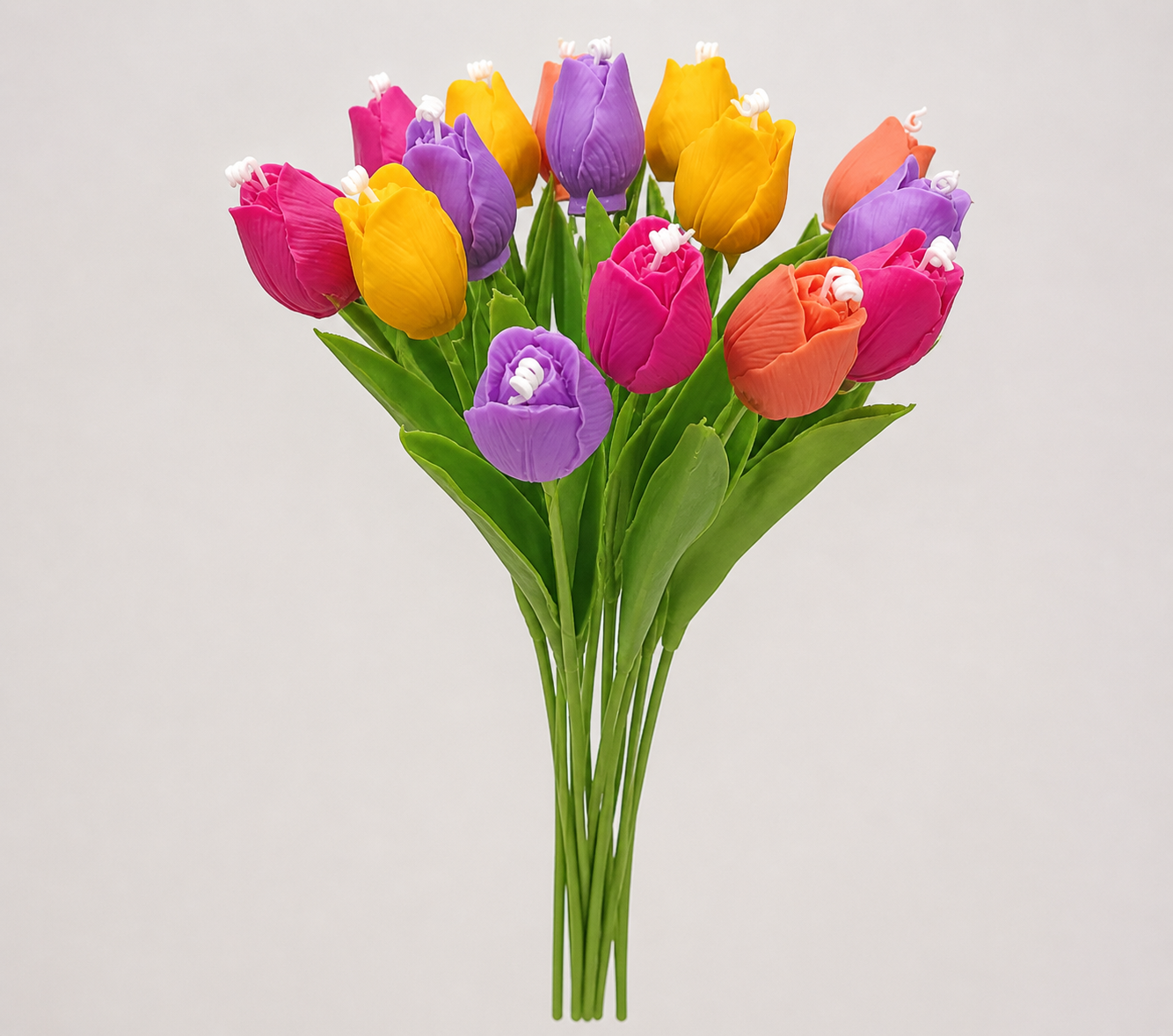 Tulipano con stelo