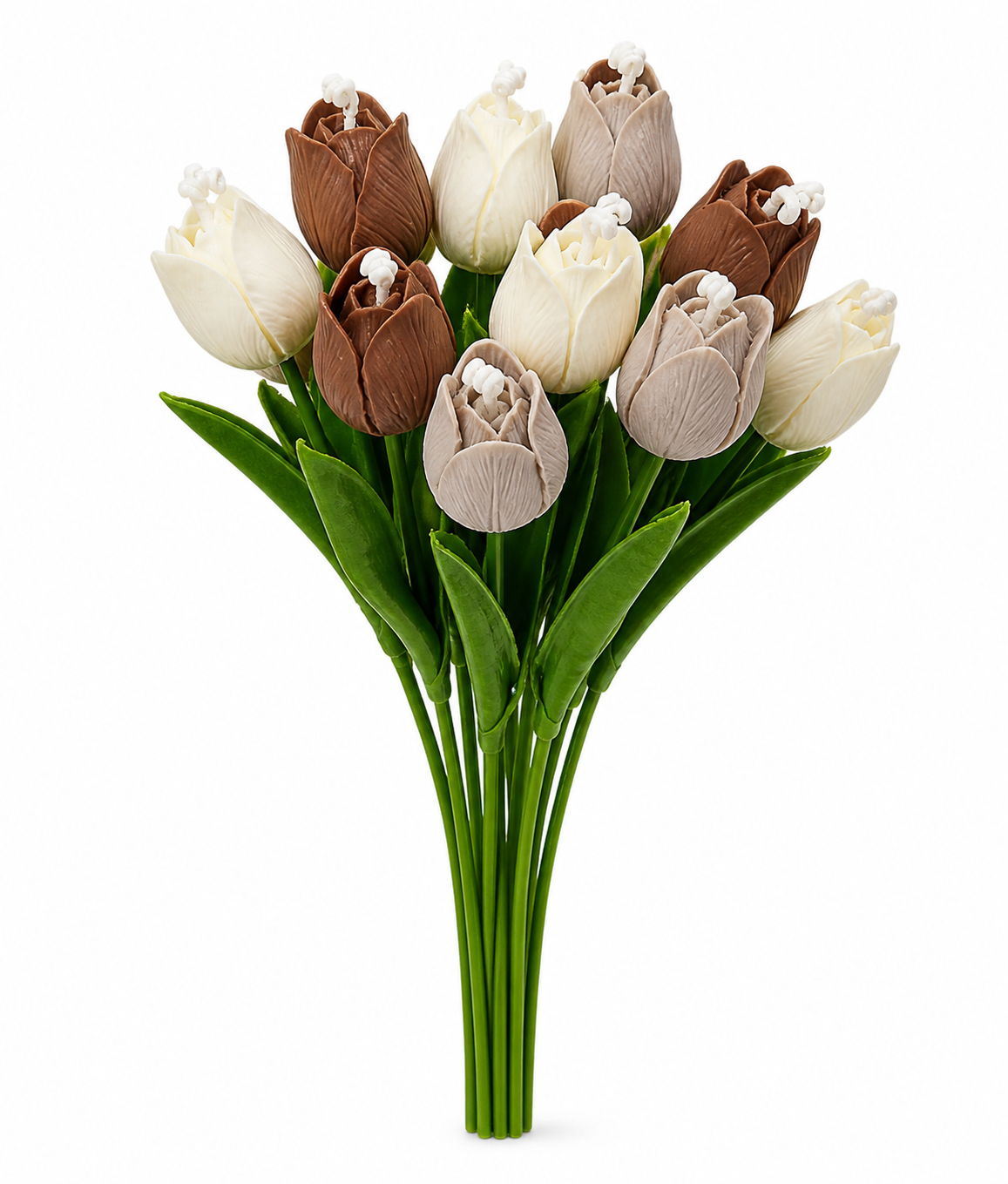 Tulipano con stelo