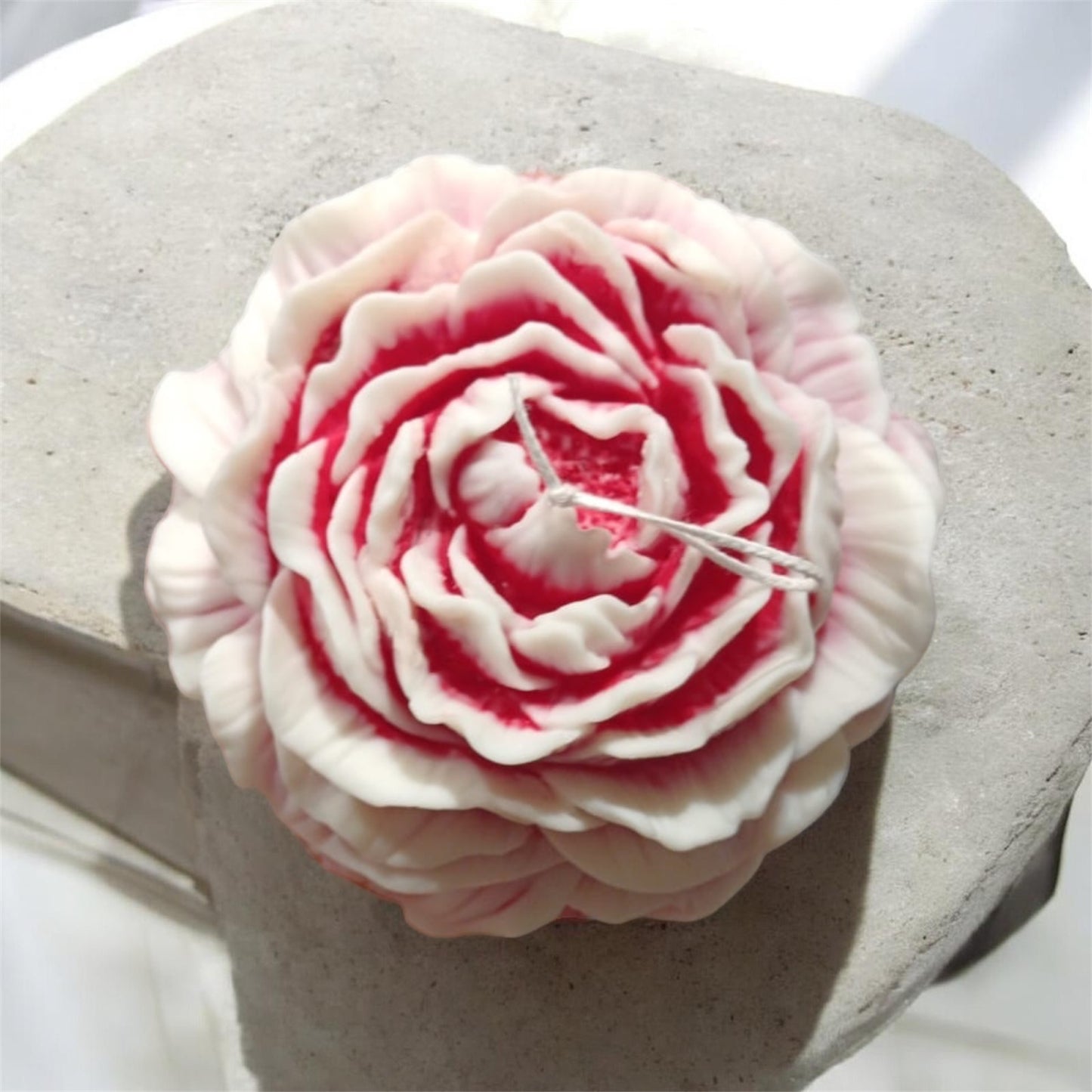 Peonia gigante