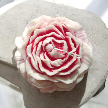 Peonia gigante